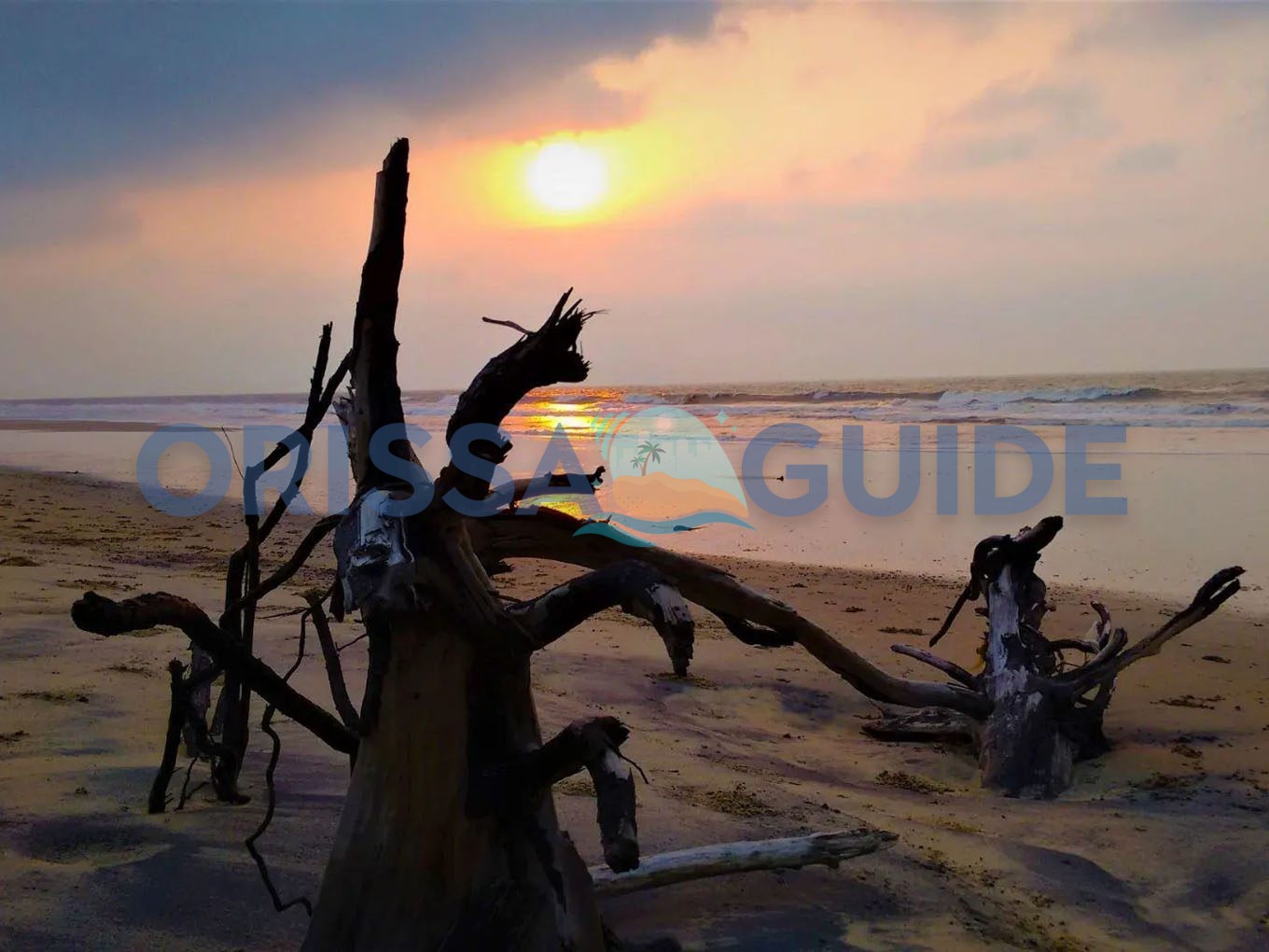 Astaranga Sea Beach, Nimapada, Puri, Odisha