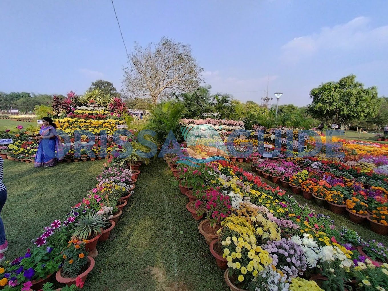 Ekamra Kanan Botanical Gardens
