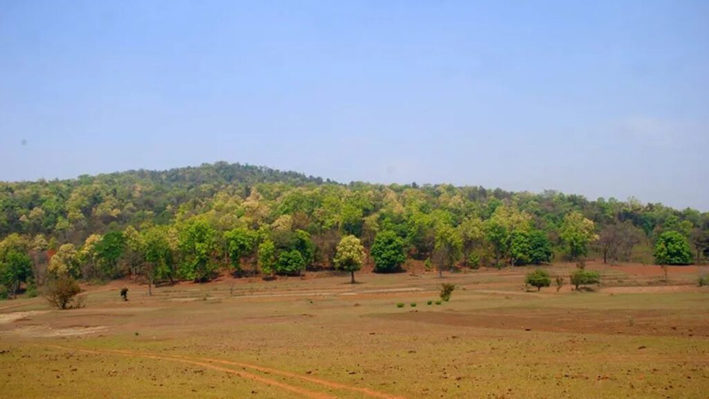 Similipal Nature Camp, Similipal, Odisha