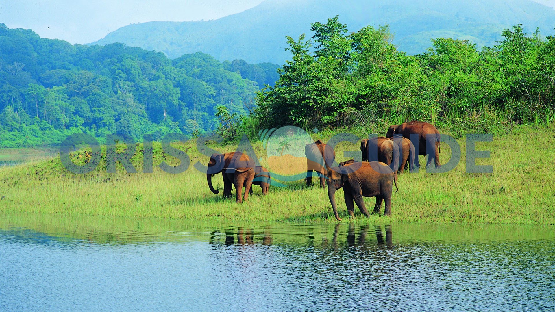 Kotgarh Wildlife Sanctuary Phulbani