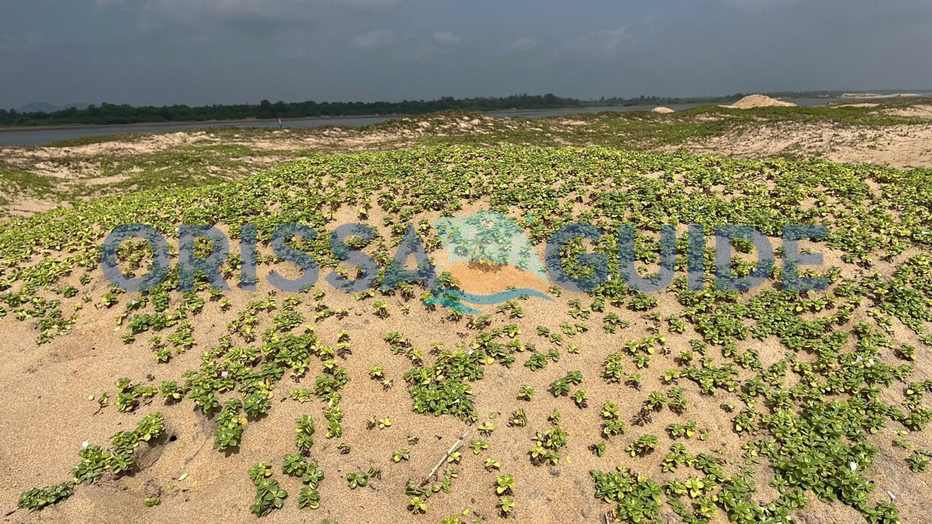 Pati Sonapur Sea Beach, Berhampur, Ganjam, Odisha