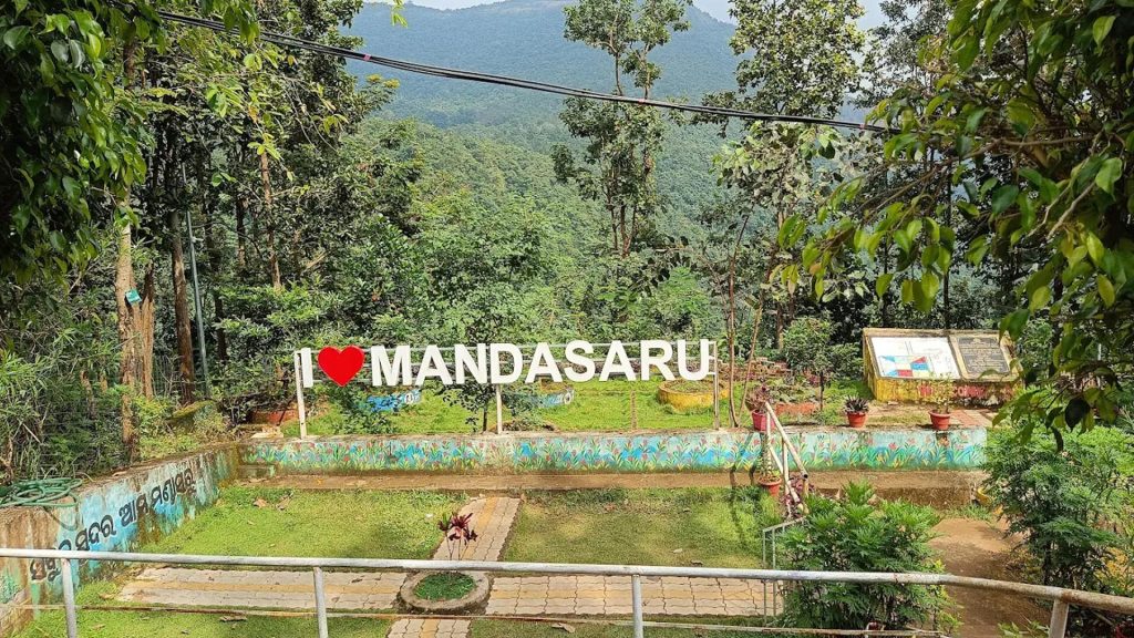 Coffee Garden, Black Pepper Tree, Daringbadi, Kandhamal, Odisha
