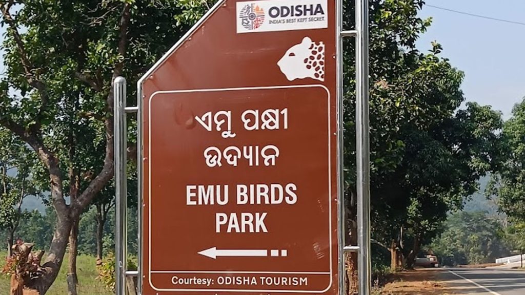 Emu Farm Sanctuary, Kirikuti, Daringbadi, Kandhamal, Odisha Emu Farm Sanctuary, Kirikuti, Daringbadi, Kandhamal, Odisha