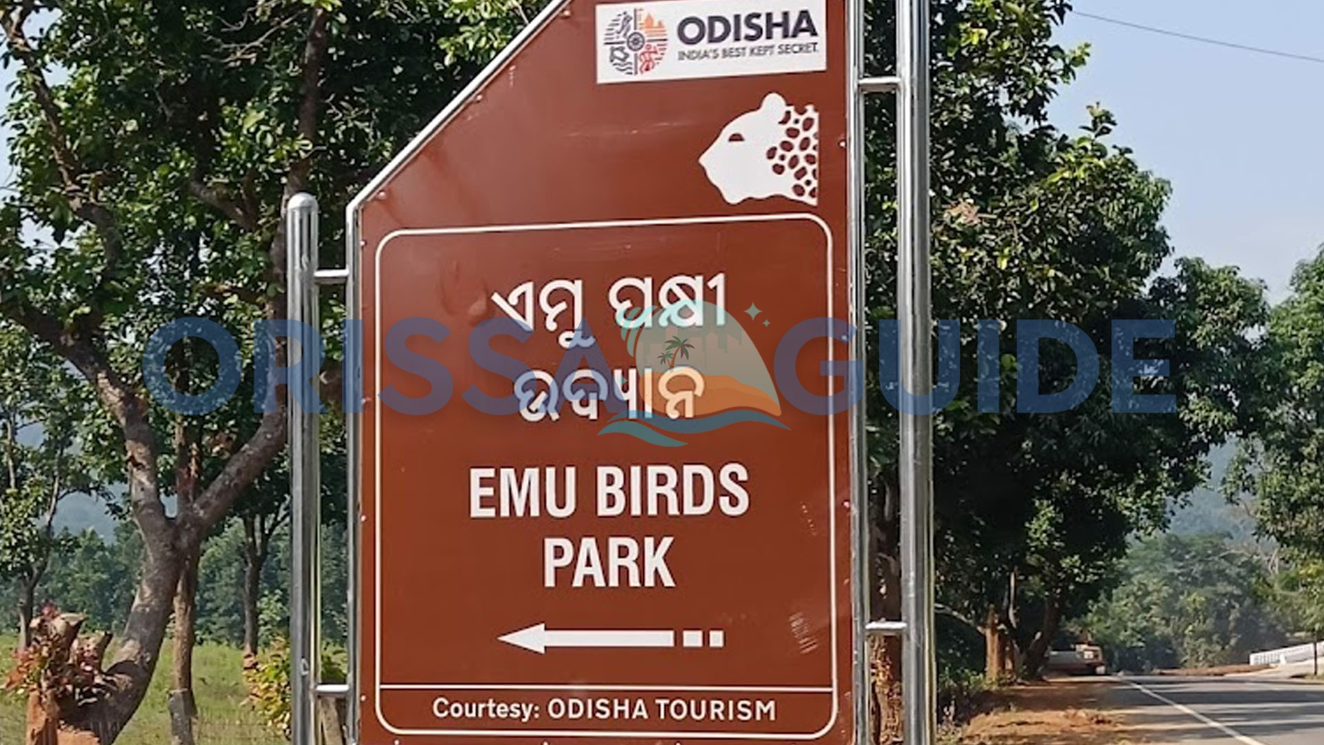 Emu Farm Sanctuary, Kirikuti, Daringbadi, Kandhamal, Odisha