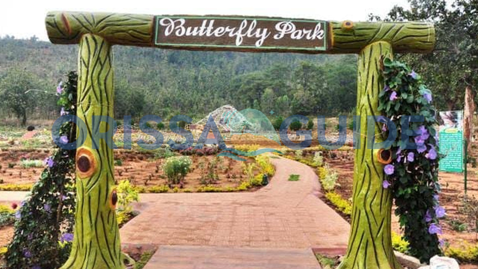 Butterfly Park, Nature Park, Daringbadi, Kandhamal, Odisha